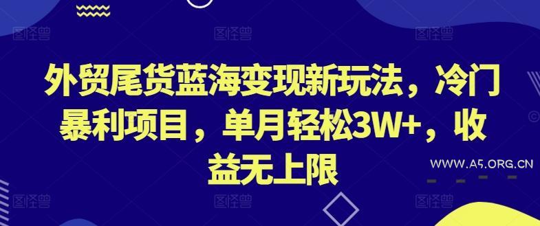 外贸尾货蓝海变现新玩法，冷门暴利项目，单月轻松3W+，收益无上限【揭秘】