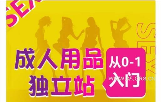 成人用品独立站从0-1入门，成品独立站运营全流程教学，七大好卖成品独立站推荐