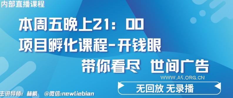 4.26日内部回放课程《项目孵化-开钱眼》赚钱的底层逻辑【揭秘】