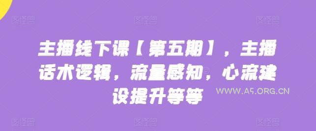 主播线下课【第五期】，主播话术逻辑，流量感知，心流建设提升等等