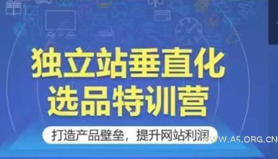独立站垂直化选品特训营，打造产品壁垒，提升网站利润
