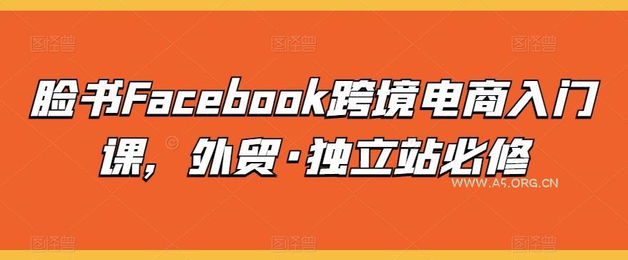 脸书Facebook跨境电商入门课，外贸·独立站必修