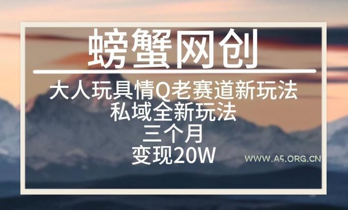 大人玩具情Q用品赛道私域全新玩法,三个月变现20W,老项目新思路【揭秘】
