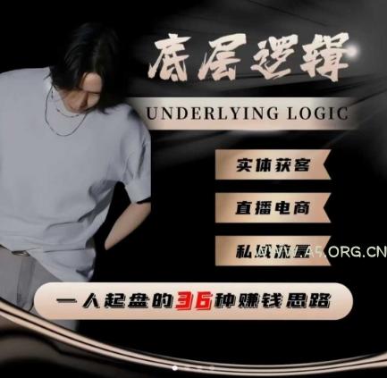 一个人起盘的底层逻辑，私域流量-直播电商-实体获客，一人起盘的36种賺钱思路