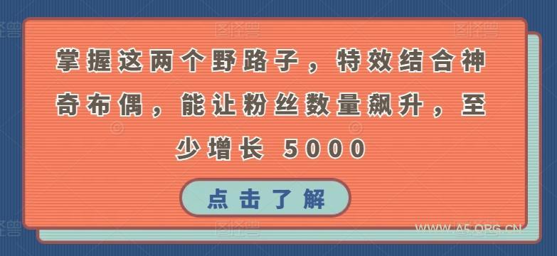 掌握这两个野路子，特效结合神奇布偶，能让粉丝数量飙升，至少增长 5000【揭秘】
