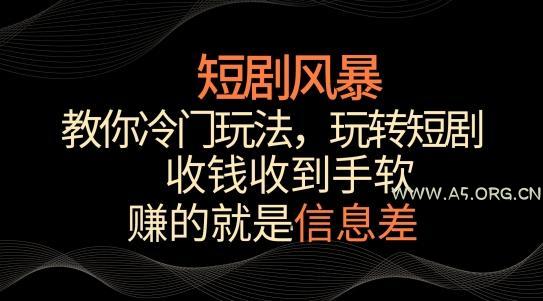 短剧风暴，教你冷门玩法，玩转短剧，收钱收到手软【揭秘】
