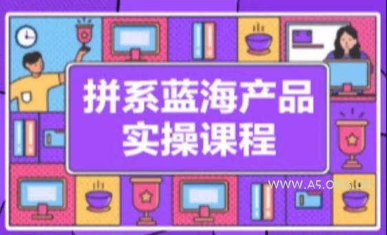 拼系冷门蓝海产品实操课程,从注册店铺到选品上架到流量维护环环相扣