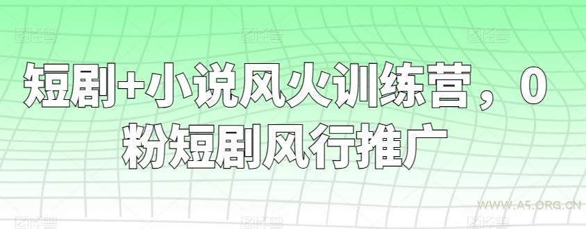 短剧+小说风火训练营，0粉短剧风行推广
