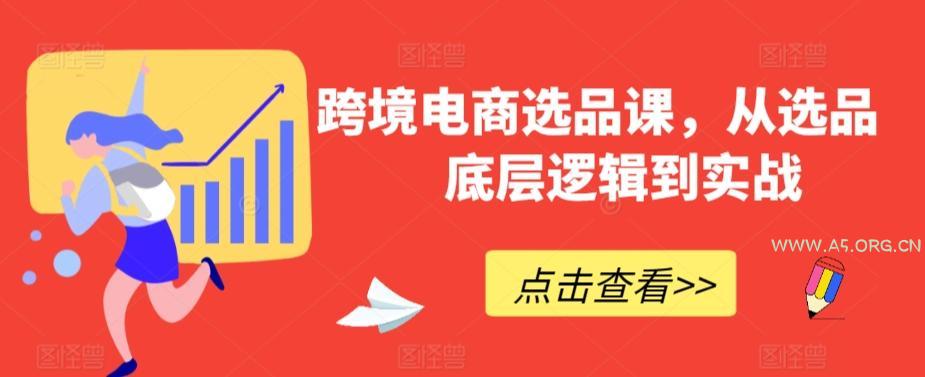 跨境电商选品课，从选品到底层逻辑到实战