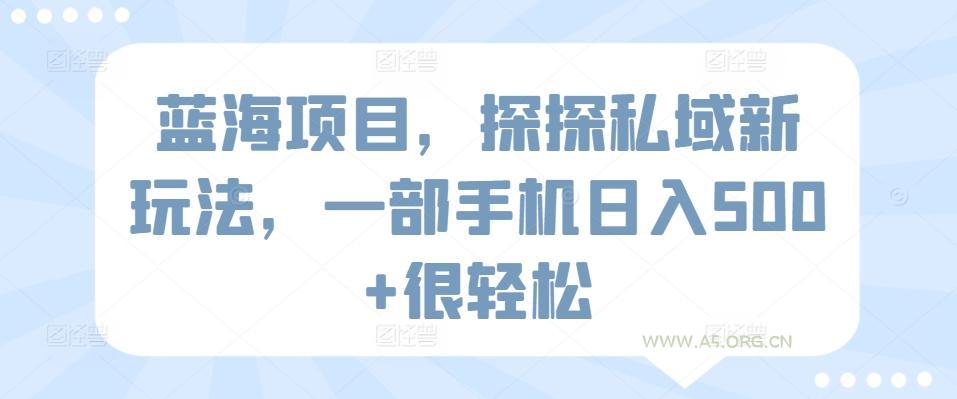 蓝海项目，探探私域新玩法，一部手机日入500+很轻松【揭秘】