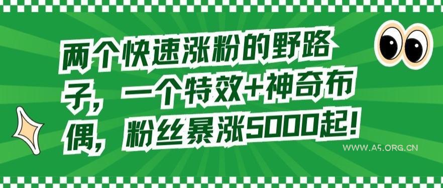 两个快速涨粉的野路子，一个特效+神奇布偶，粉丝暴涨5000起【揭秘】