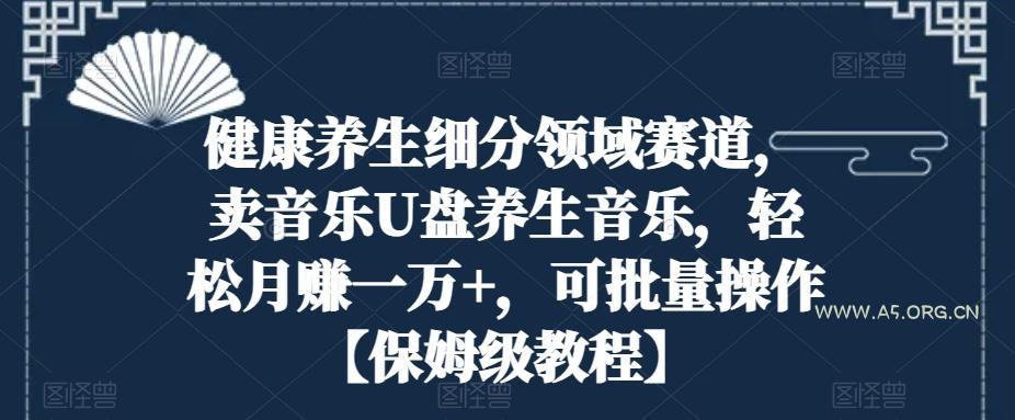 健康养生细分领域赛道，卖音乐U盘养生音乐，轻松月赚一万+，可批量操作【保姆级教程】