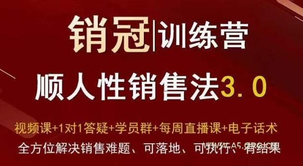 爆款!销冠训练营3.0之顺人性销售法,全方位解决销售难题、可落地、可执行、有结果