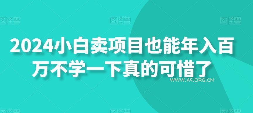 2024小白卖项目也能年入百万不学一下真的可惜了