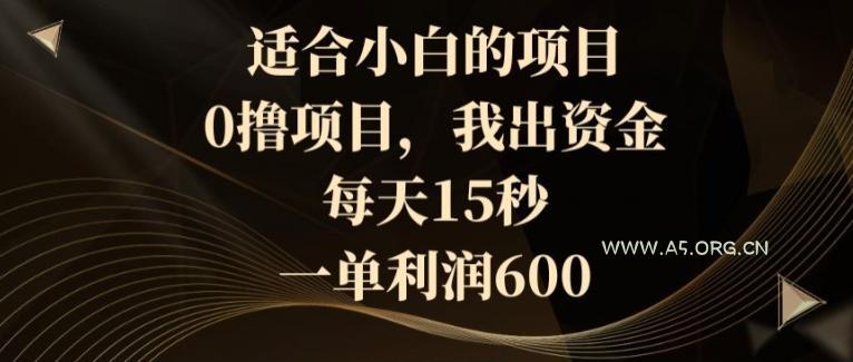 适合小白的项目，0撸项目，我出资金，每天15秒，一单利润600