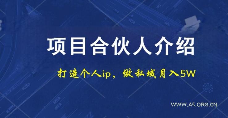 项目合伙人项目，打造个人IP，做私域月入5W，小白勿扰