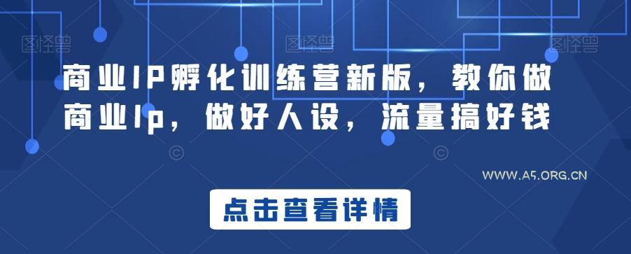 商业IP孵化训练营新版，教你做商业Ip，做好人设，流量搞好钱