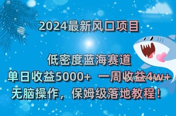 2024最新风口项目，低密度蓝海赛道，单日收益5000+，一周收益4w+！【揭秘】
