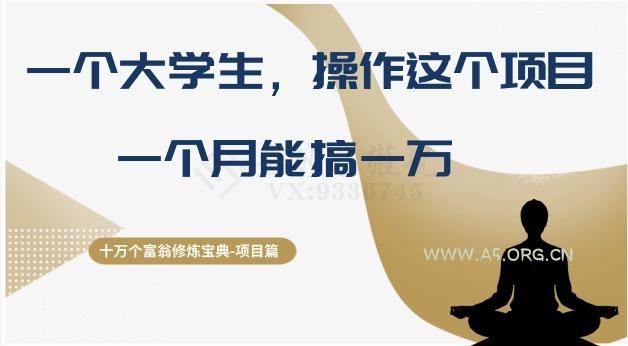十万个富翁修炼宝典之4.一个大学生操作这个项目,一个月能搞一万