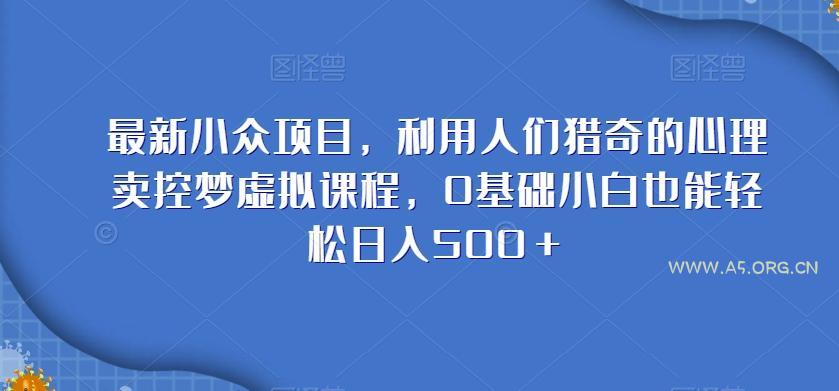 最新小众项目,利用人们猎奇的心理卖控梦虚拟课程,0基础小白也能轻松日入500+