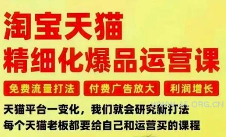 淘宝天猫精细化爆品运营课,免费流量打法-付费广告放大-利润增长-三大核心痛点,一次全部解决