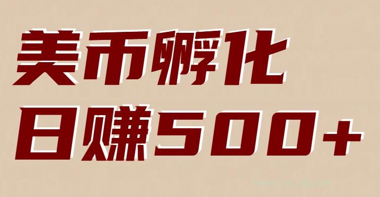 美币孵化项目：电脑全自动挂机赚美金，小白轻松上手-小红泡