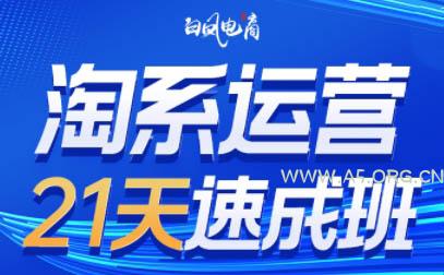 白凤电商·淘系运营21天速成班(更新2026)-小红泡