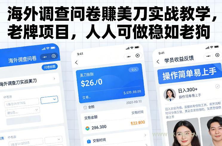 海外调查问卷賺美刀实战教学，老牌项目，人人可做稳如老狗-小红泡