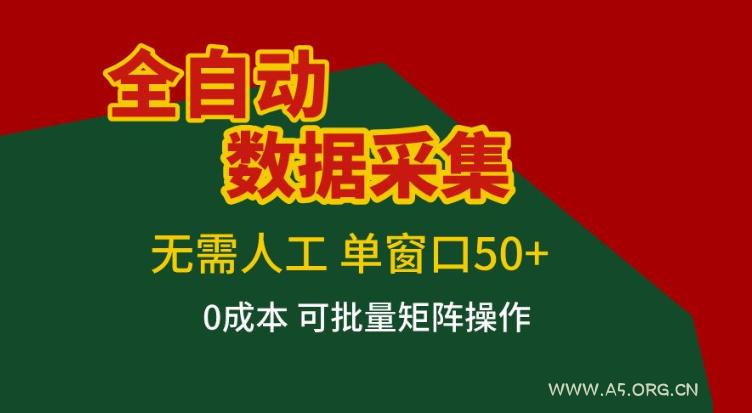 全自动数据采集,无需人工,单窗口50+,0成本可批量矩阵操作【揭秘】-小红泡
