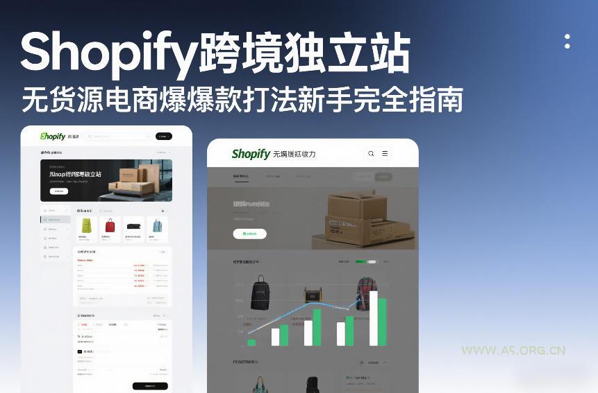 Shopify跨境独立站无货源电商爆款打法新手完全指南-小红泡