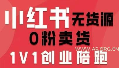 小红书无货源0粉电商课，开店准备、选品策略、笔记撰写、视频剪辑、数据分析、账号打造、资料文档(更新26年1月)-小红泡