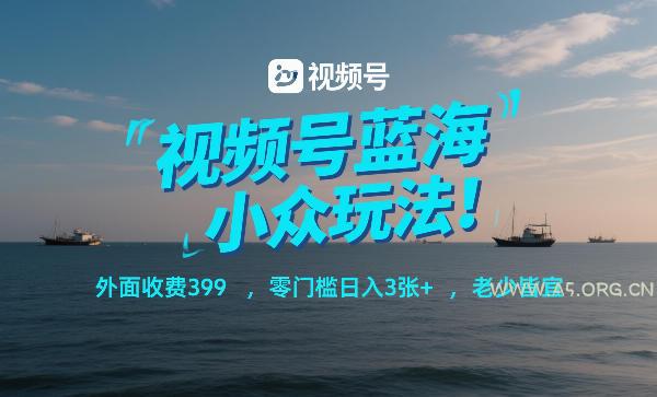 视频号蓝海小众玩法！外面收费399，零门槛日入3张+，老少皆宜-小红泡