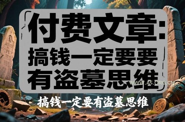 付费文章：搞钱一定要有盗墓思维-小红泡