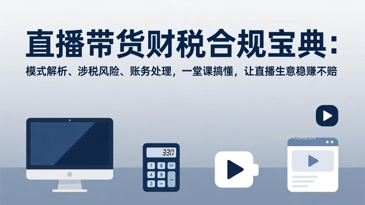 直播带货财税合规宝典：模式解析、涉税风险、账务处理，一堂课搞懂，让直播生意稳赚不赔-小红泡