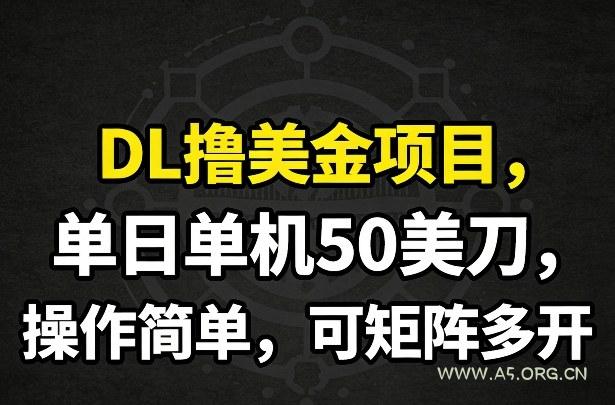DL撸美金项目，单日单机50美刀，操作简单，可矩阵多开-小红泡