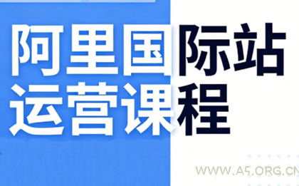 张国儒·阿里国际站运营课程(更新2026)-小红泡