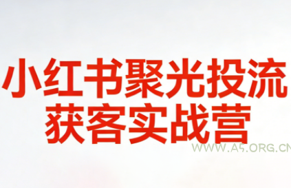永曜·小红书聚光投流获客实战营-小红泡