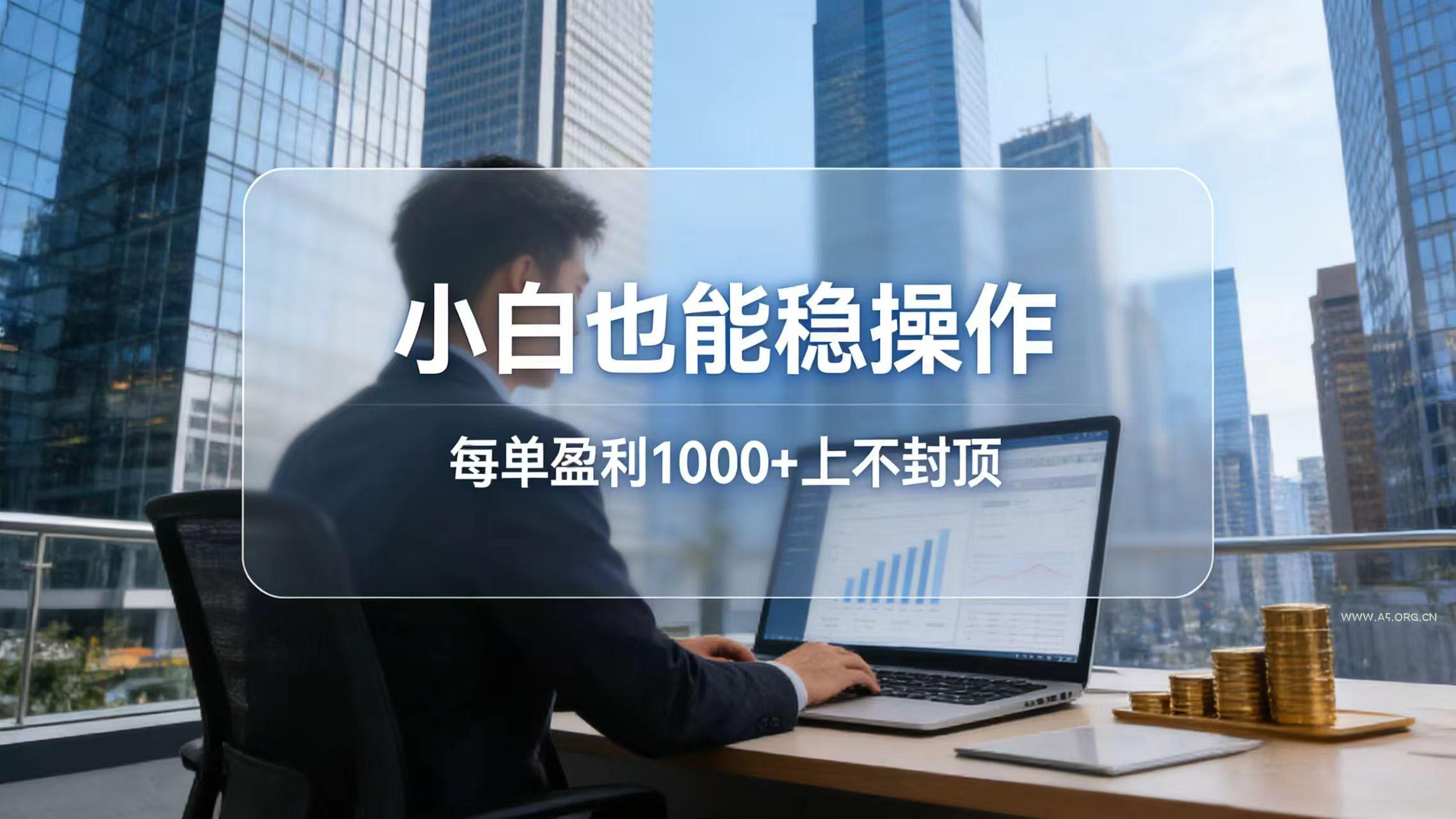 2026新项目,小白也能稳操作,每单盈利1000+上不封顶-小红泡