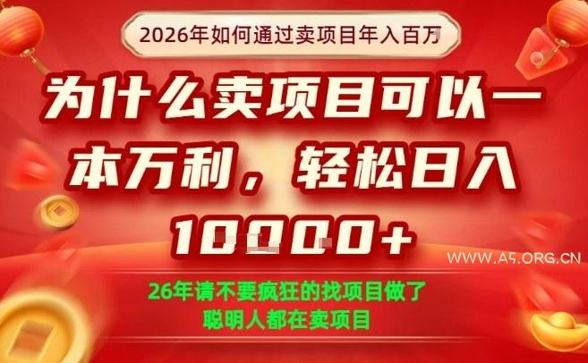 一单净利润1K+，26年想年入100个W，死磕卖项目就够了【揭秘】-小红泡