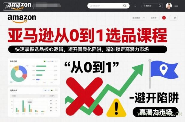 亚马逊从0到1选品课程，快速掌握选品核心逻辑，避开同质化陷阱，精准锁定高潜力市场(更新)-小红泡