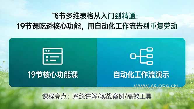 飞书多维表格从入门到精通:19节课吃透核心功能,用自动化工作流告别重复劳动-小红泡