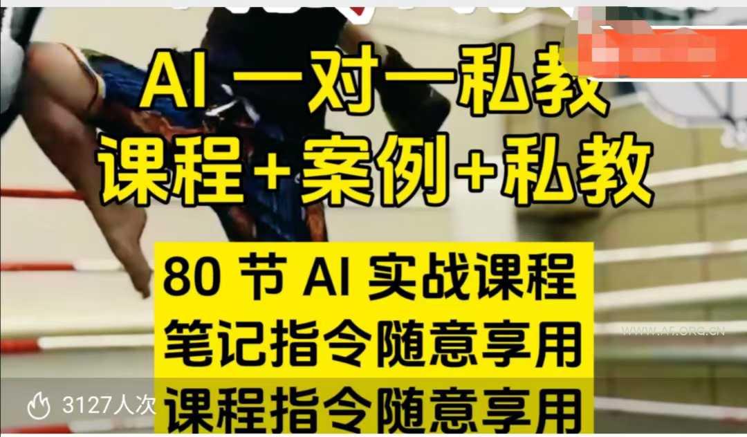 AI指令实战课，课程+案例，80节AI实战课程，笔记指令随意享用，课程指令随意享用(更新26年3月)-小红泡
