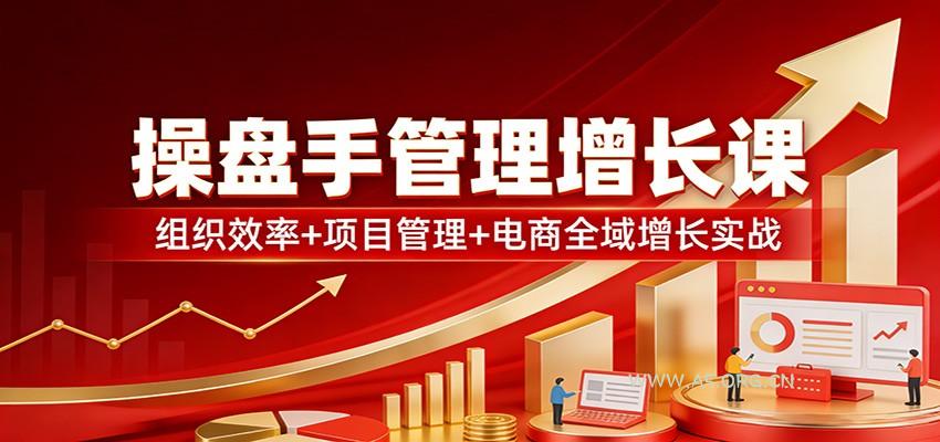 操盘手管理增长课：组织效率+项目管理+电商全域增长实战-小红泡