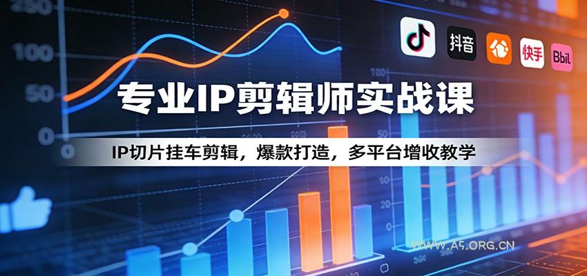 专业IP剪辑师实战课：IP切片挂车剪辑，爆款打造，多平台增收教学-小红泡