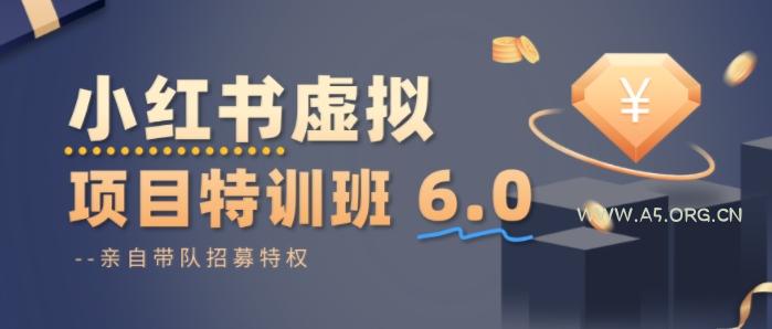 小红书虚拟项目特训课8.0，帮你从0到1打造稳定盈利的店铺，抓住流量红利(更新3月)-小红泡