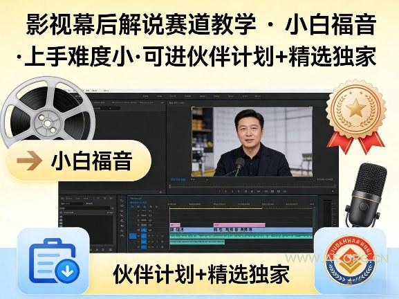 某大佬的影视幕后解说赛道教学，小白福音，上手难度小，可进伙伴计划+精选独家-小红泡