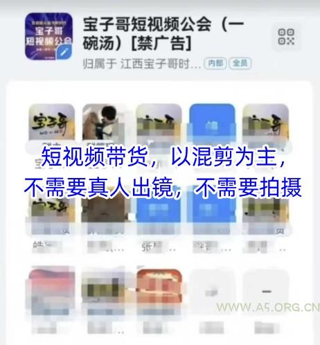 宝子哥头部团队短视频带货，以混剪为主，不需要真人出镜，不需要拍摄【更新26年3月】-小红泡