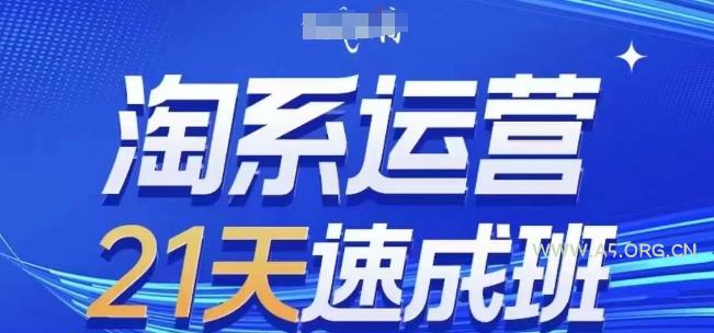 淘系运营21天速成班，0基础轻松搞定淘系运营，不做假把式，快速复制落地(更新26年3月)-小红泡