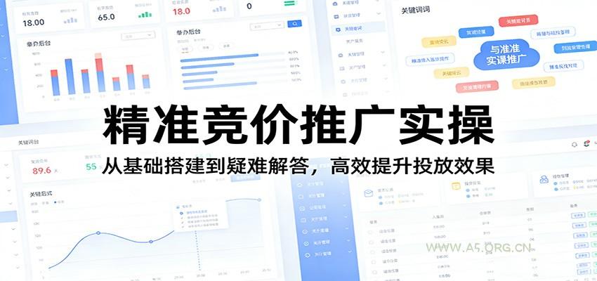 精准竞价推广实操:从基础搭建到疑难解答,高效提升投放效果-小红泡