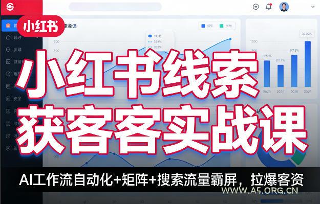 小红书线索获客实战课，AI工作流自动化+矩阵+搜索流量霸屏，拉爆客资-小红泡